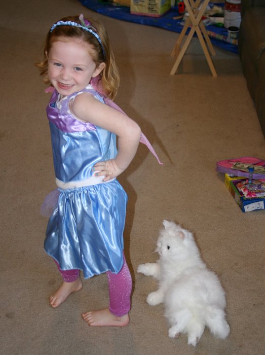 New Fairy Costume